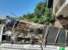 Best Yard Waste Removal  in Oak Hill, FL